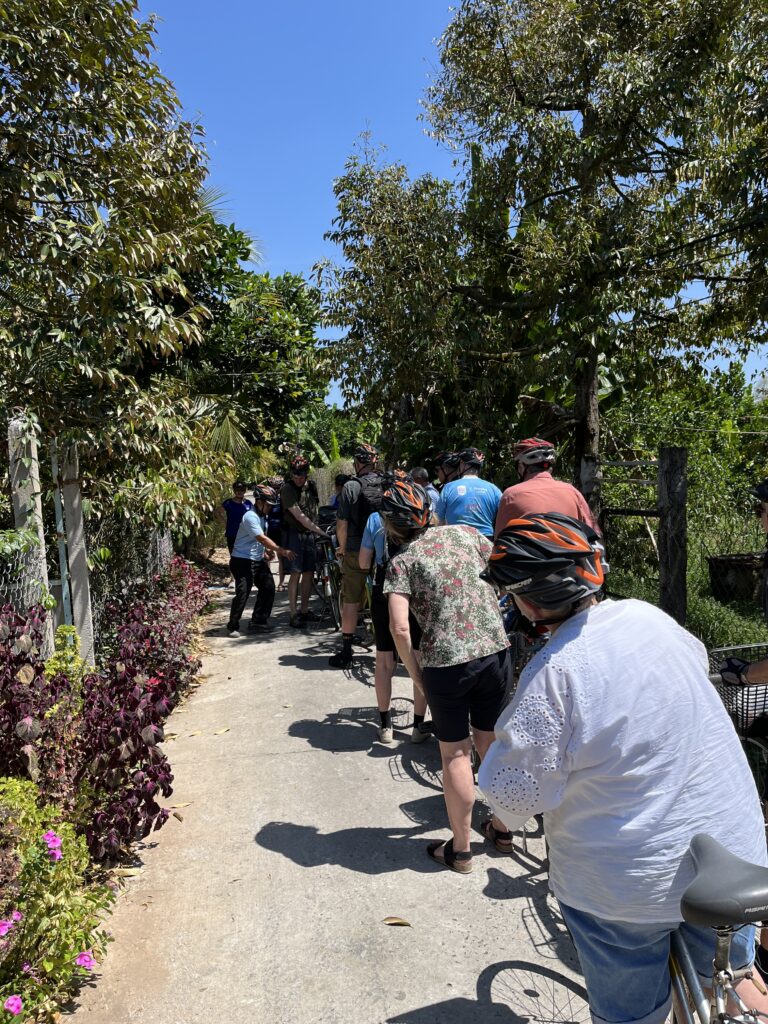 Cykelkaos på en ø i Mekongdealtet